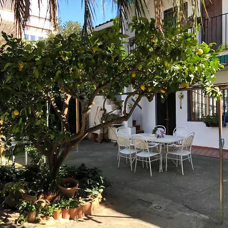 Casa Las Violetas Altura Exterior photo
